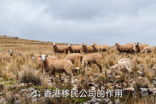 香港移民公司,香港移民顾问公司，助您畅游全球